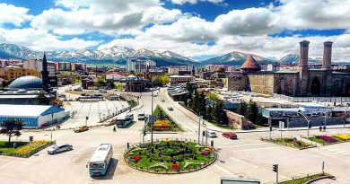 Doğu Anadolu, Erzurum, en büyük il, ekonomik önem, turistik cazibe, tarihi değerler, yerel lezzetler, potansiyel.